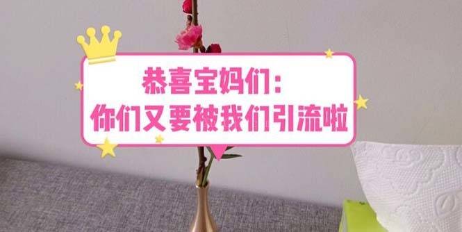 恭喜宝妈们:你们又要被我们引流了(教程+222g资料)-续财库